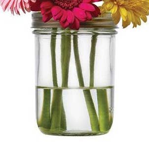 Rejilla para flores Jarware para tarros Mason de boca ancha para venta al por mayor de Fox Run Brands