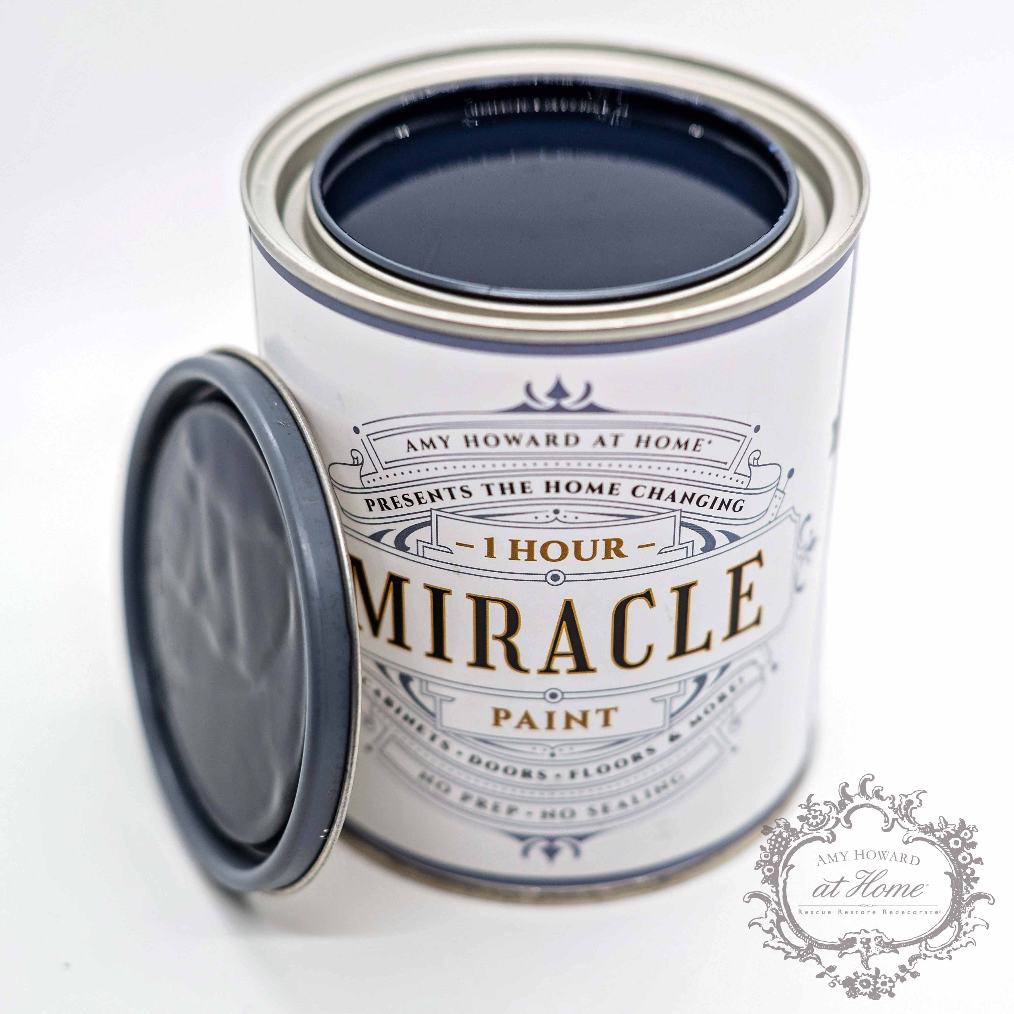 Amy Howard at Home - Wholesale Paint Set - Miracle Paint - Black1