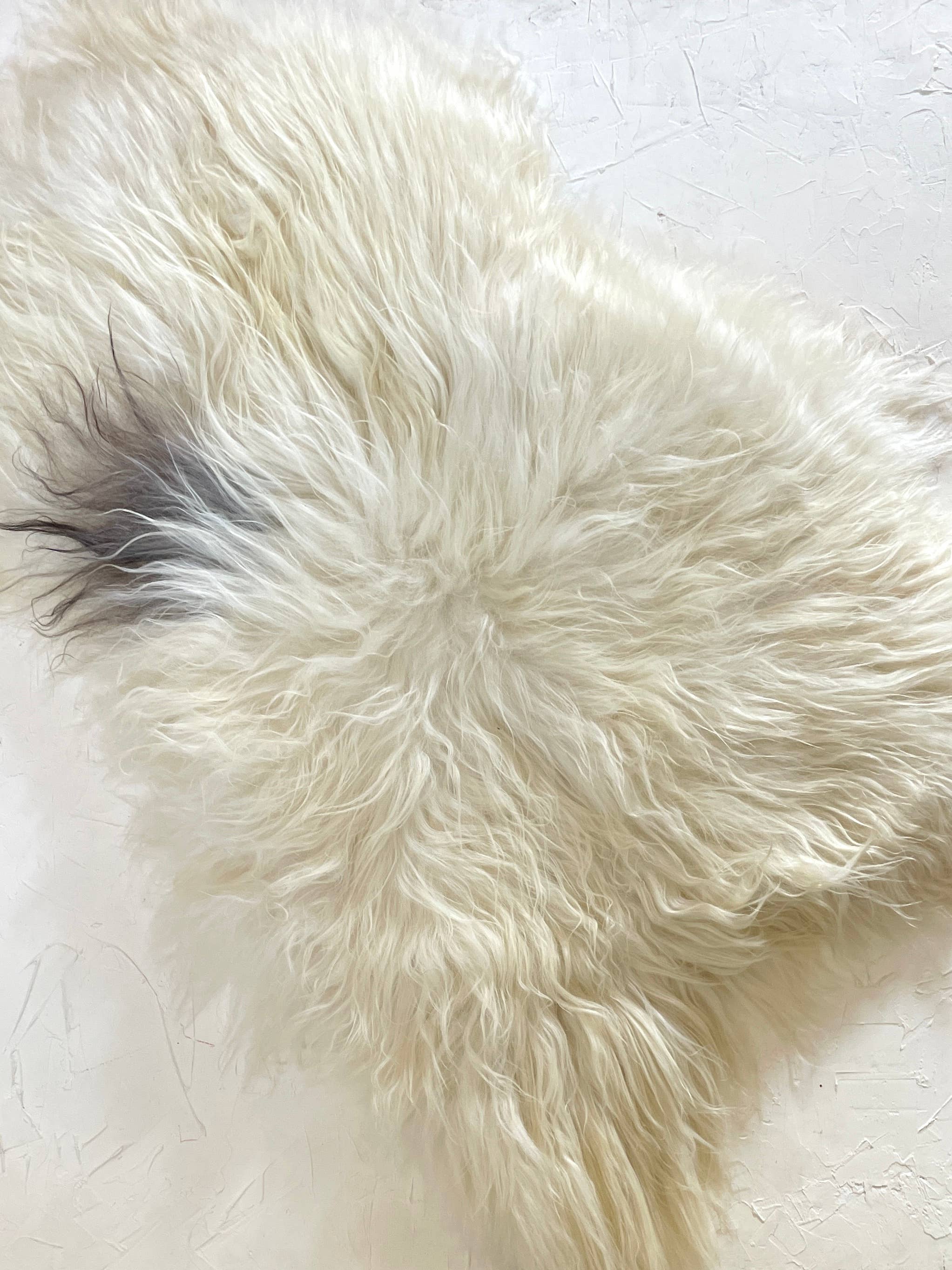 HoogaHooga - Vente Tapis - Peau de mouton islandaise Luna5