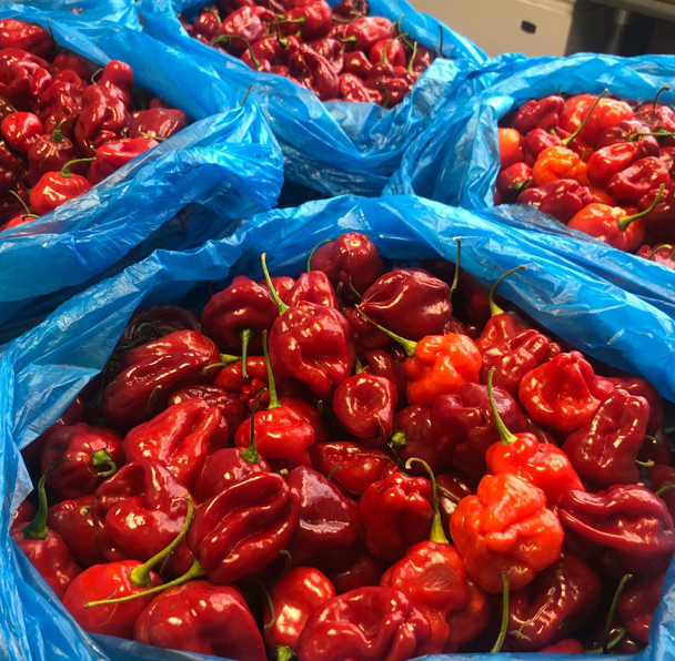 Josephine's Feast - Wholesale Jam/Jelly - Red Hot Pepper Jam3