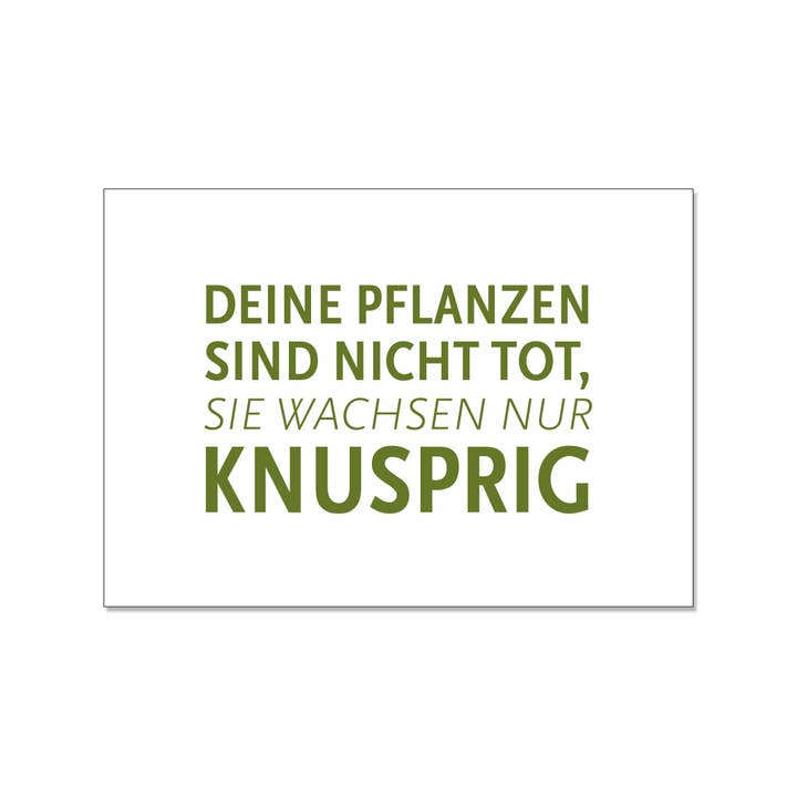 17h30 - Carte postale horizontale, Tes plantes ne sont pas mortes, elles poussent juste croustillantes. pour la vente par 17;30