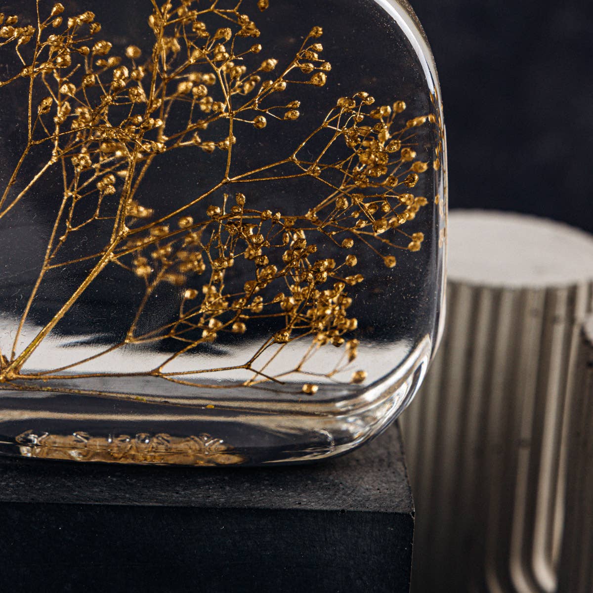 Theophile Berthon – Planta viva por atacado – Cápsula Herbarium - Gipsofila dourada-planta submersa8