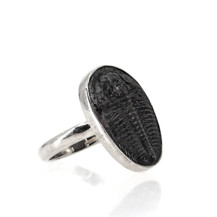 Black Feather Design - Vendita all'ingrosso Anelli cocktail/statement - Anello trilobite, gioielli in vero fossile, in argento 925