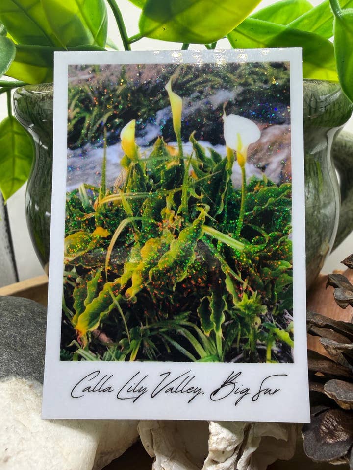 Californien Calla Lily Valley, BIG SUR 5,82 cm x 7,62 cm pixie glitter for engroshandel hos California Dreaming Co