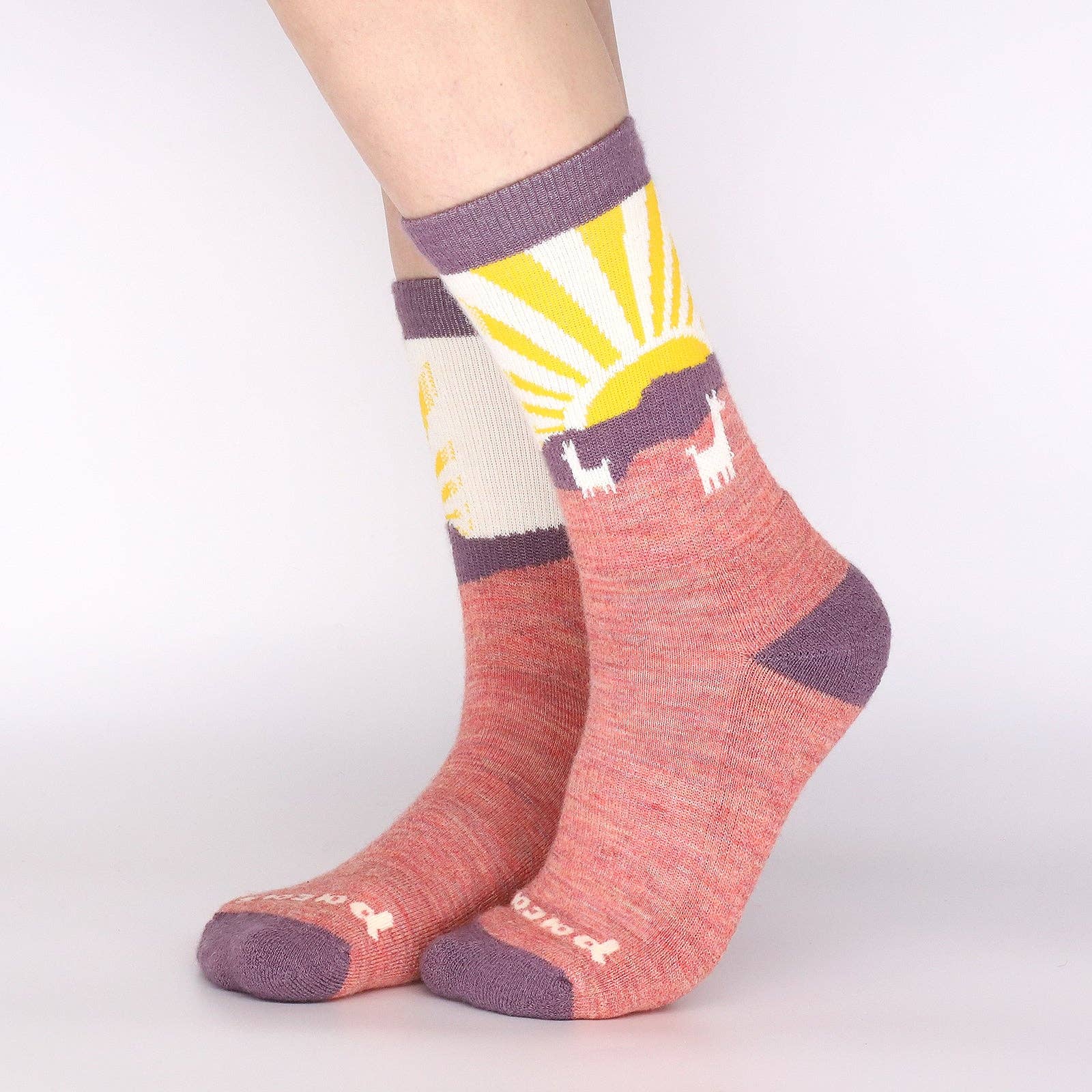 Pacas - Wholesale Socks - Women's - 3 Pack - Women's Crew Pacas Socks67