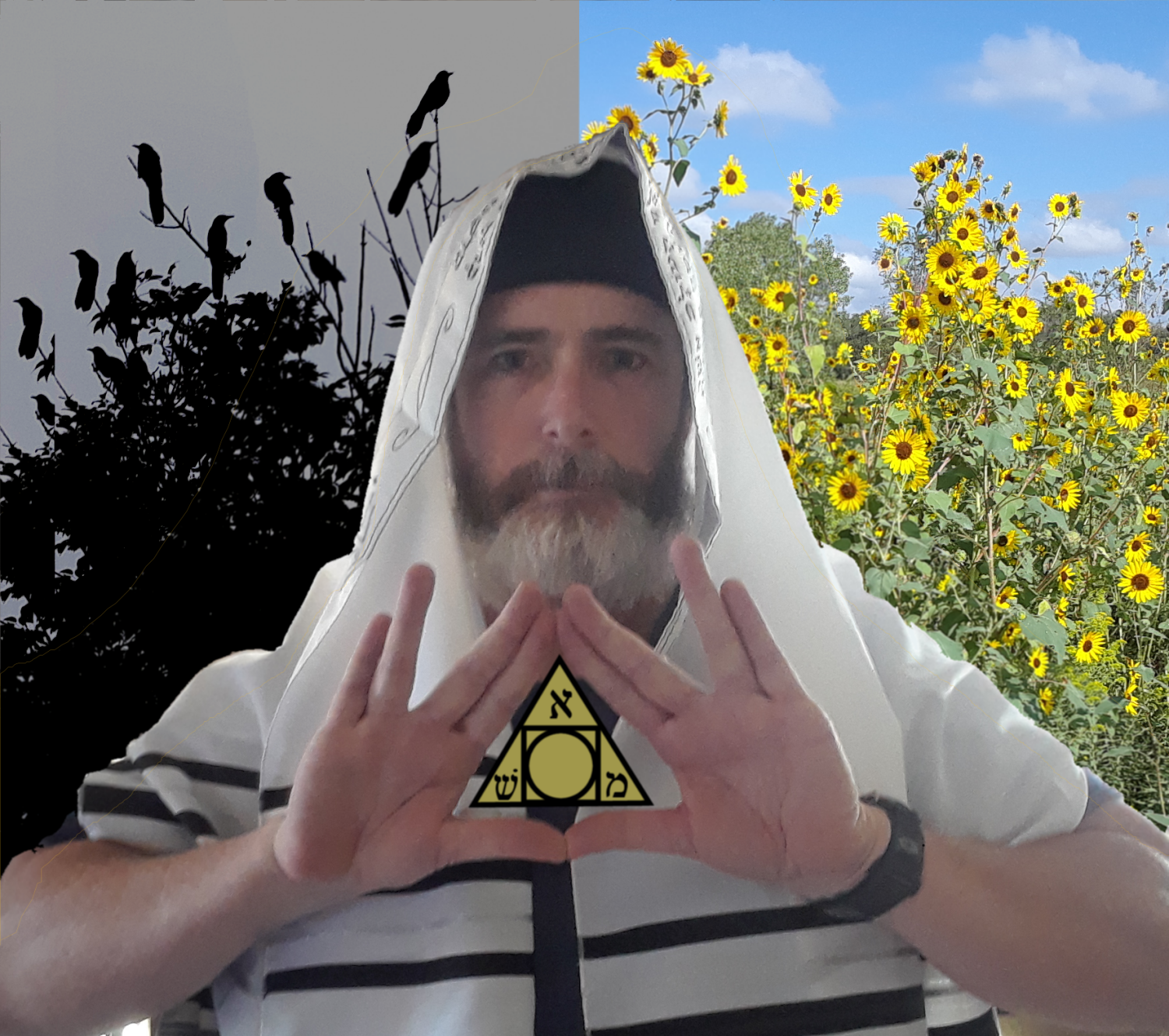 Schiffer Publishing – Engroshandel Tarotkort – Rota Mundi Tarot: Rosicrucian Arcanum18