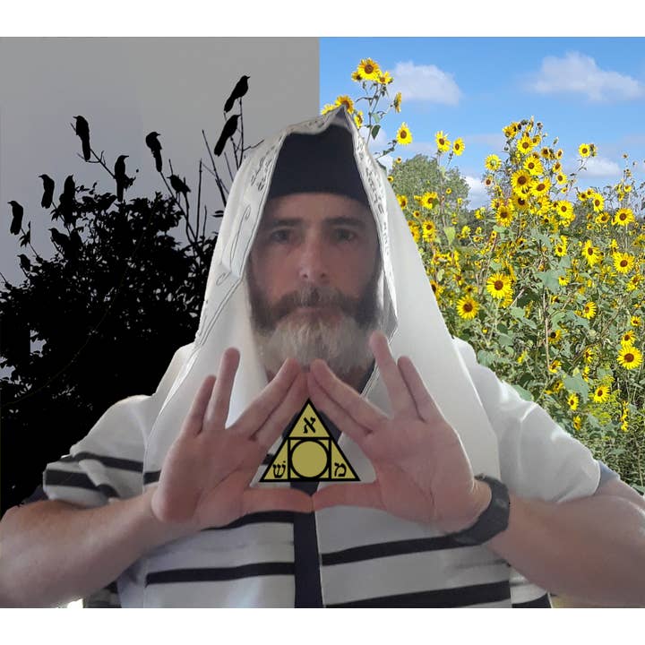 Schiffer Publishing – Engroshandel Tarotkort – Rota Mundi Tarot: Rosicrucian Arcanum18