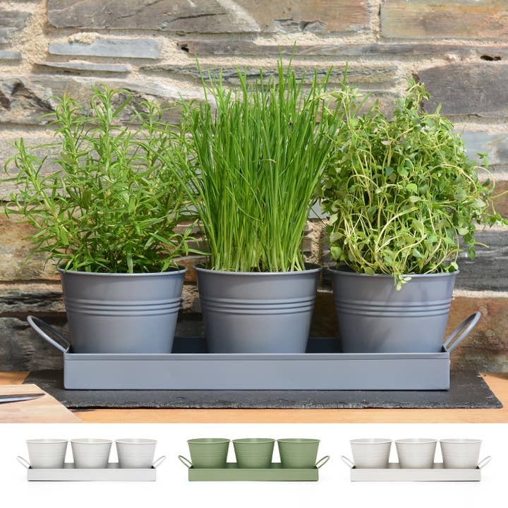 Wholesale Gifts Tomorrow – wholesale Plant pot – Set of 3 Metal Herb/Plant Pots with Drip Tray (Charcoal Grey)2