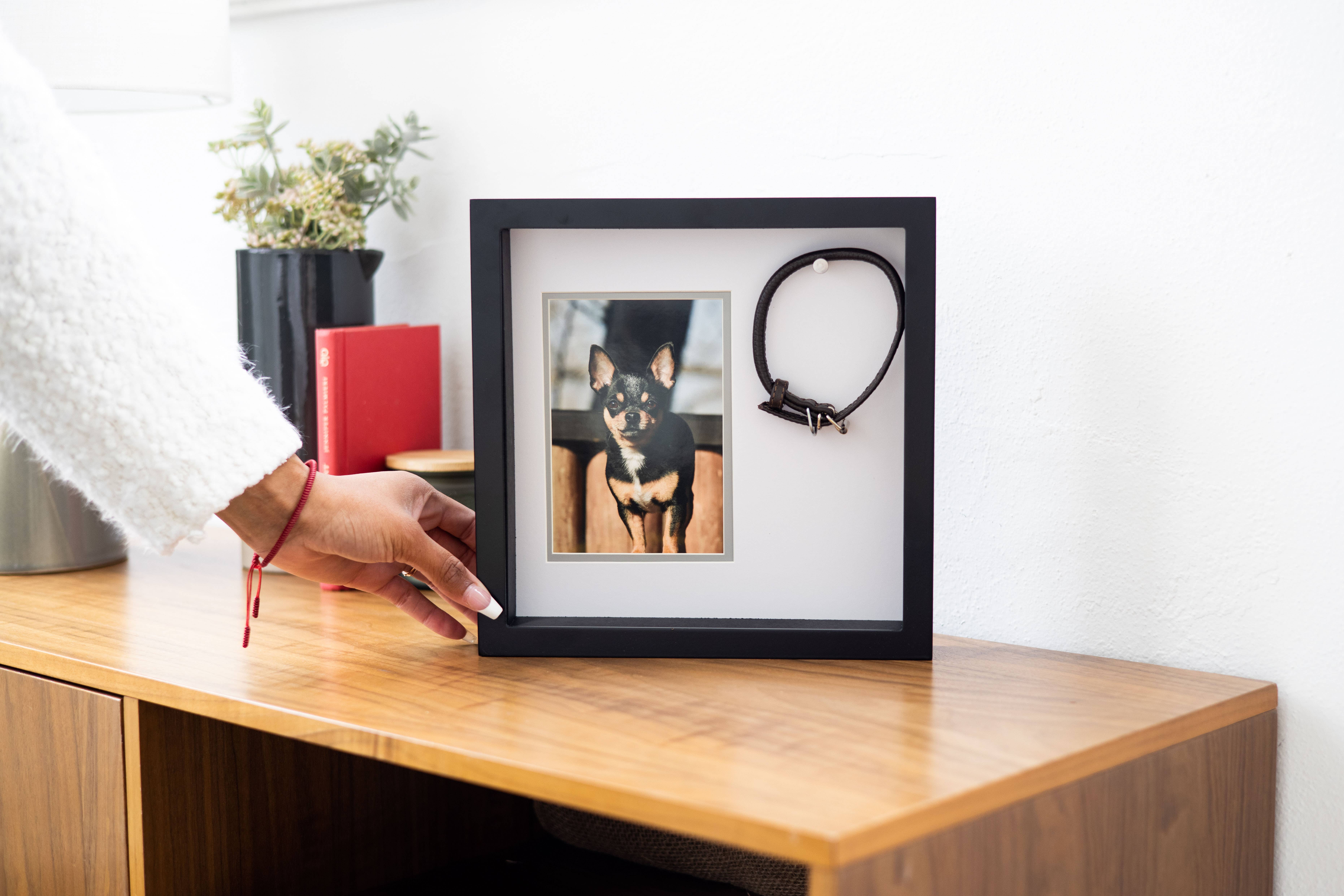 Pearhead - Wholesale Picture Frame - Pet Collar Picture Frame, Black6