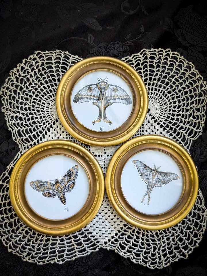 Moth Trio- Embellished Framed Prints for wholesale by Studio Umbralux