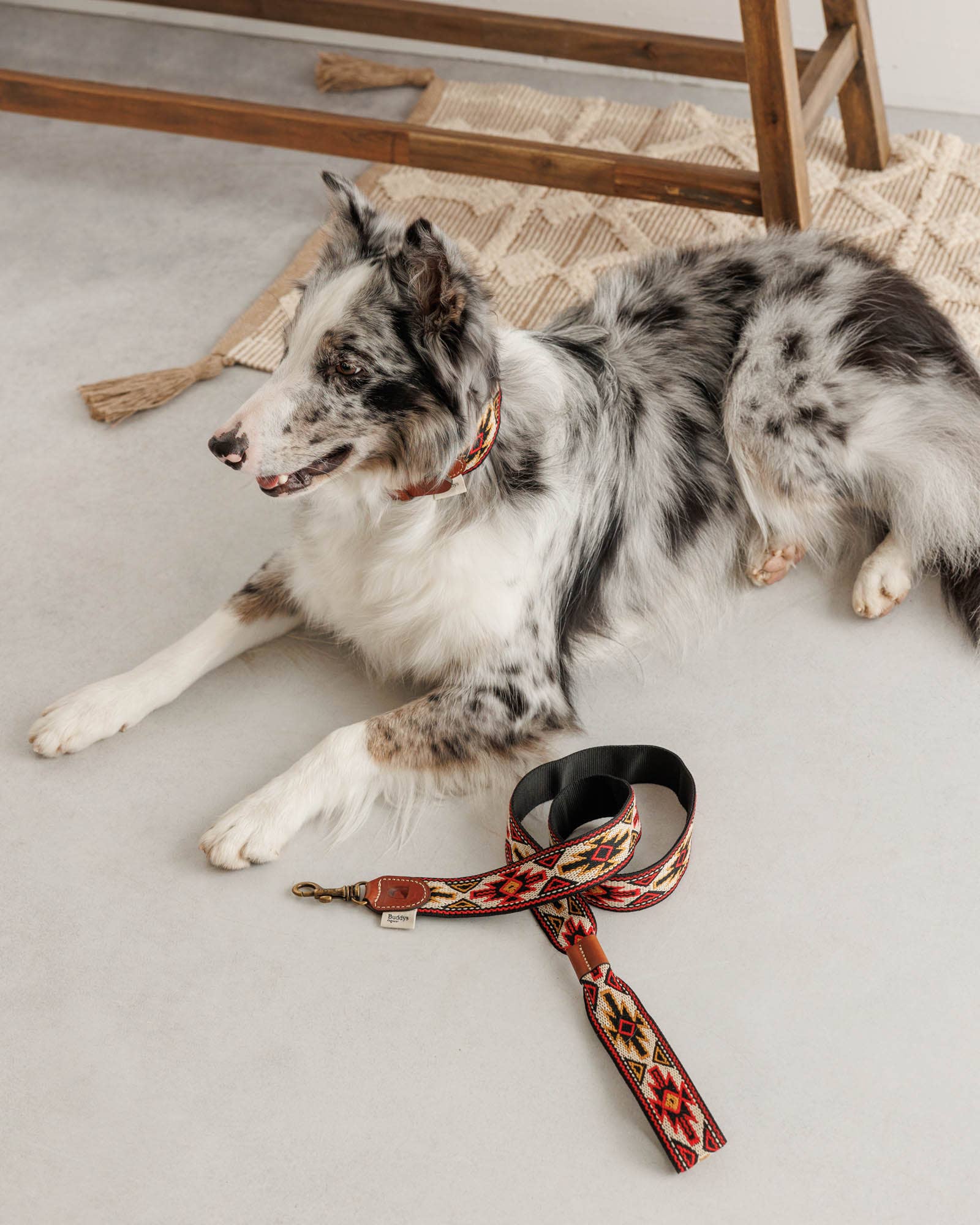 Buddys dogwear - Wholesale Pet Leash - Dog - Dog Leash Peyote Red3