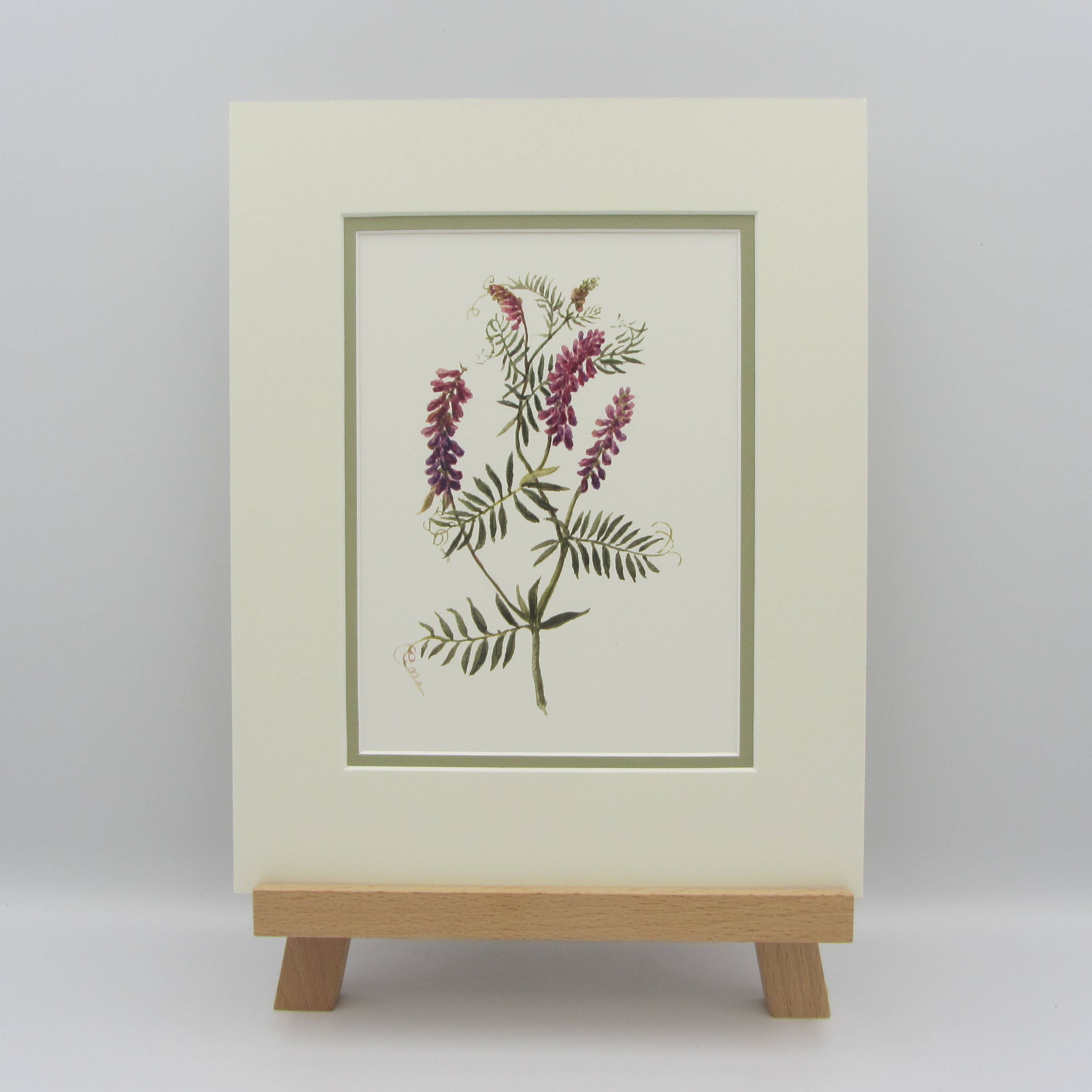 Sophia Davenport - Wholesale Art Print - Wildflower Watercolour Mounted A5 Prints9