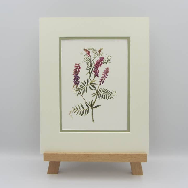 Sophia Davenport - Wholesale Art Print - Wildflower Watercolour Mounted A5 Prints9