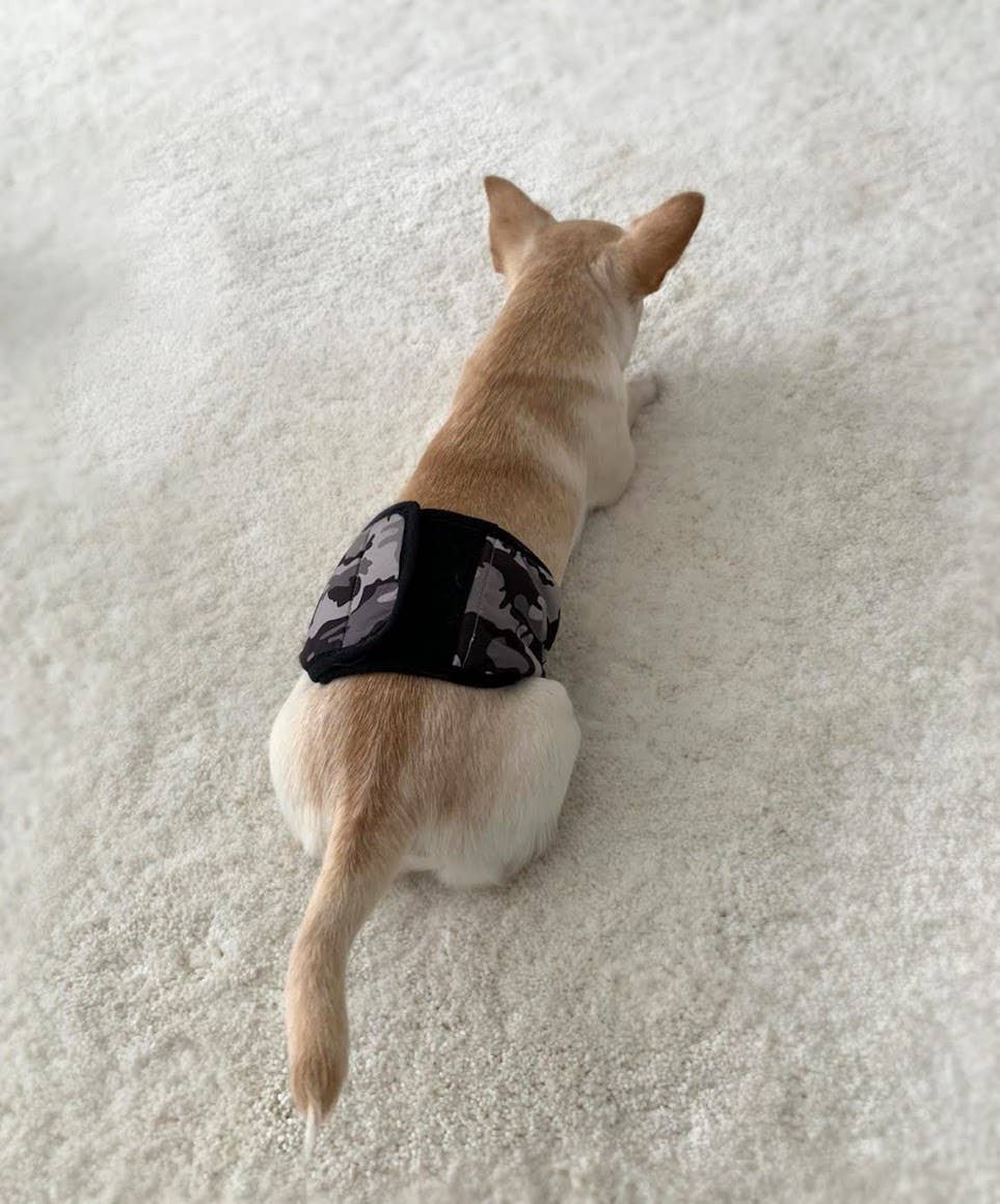 FINNERO - Wholesale Pet Belly Band - Dog - FINNERO JUSTINCASE Male Dog Wrap, 4 Colors, Washable Diaper10