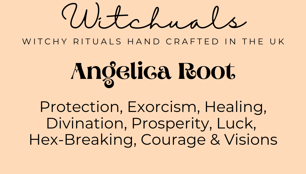 Witchuals - Rituals & Spellwork Apothecary – wholesale Meditation supplies – Angelica Root3