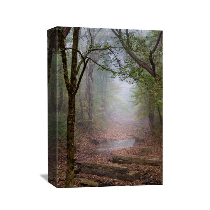 Yamacraw Ruins Canvas for wholesale by Nature's Vista Photography
