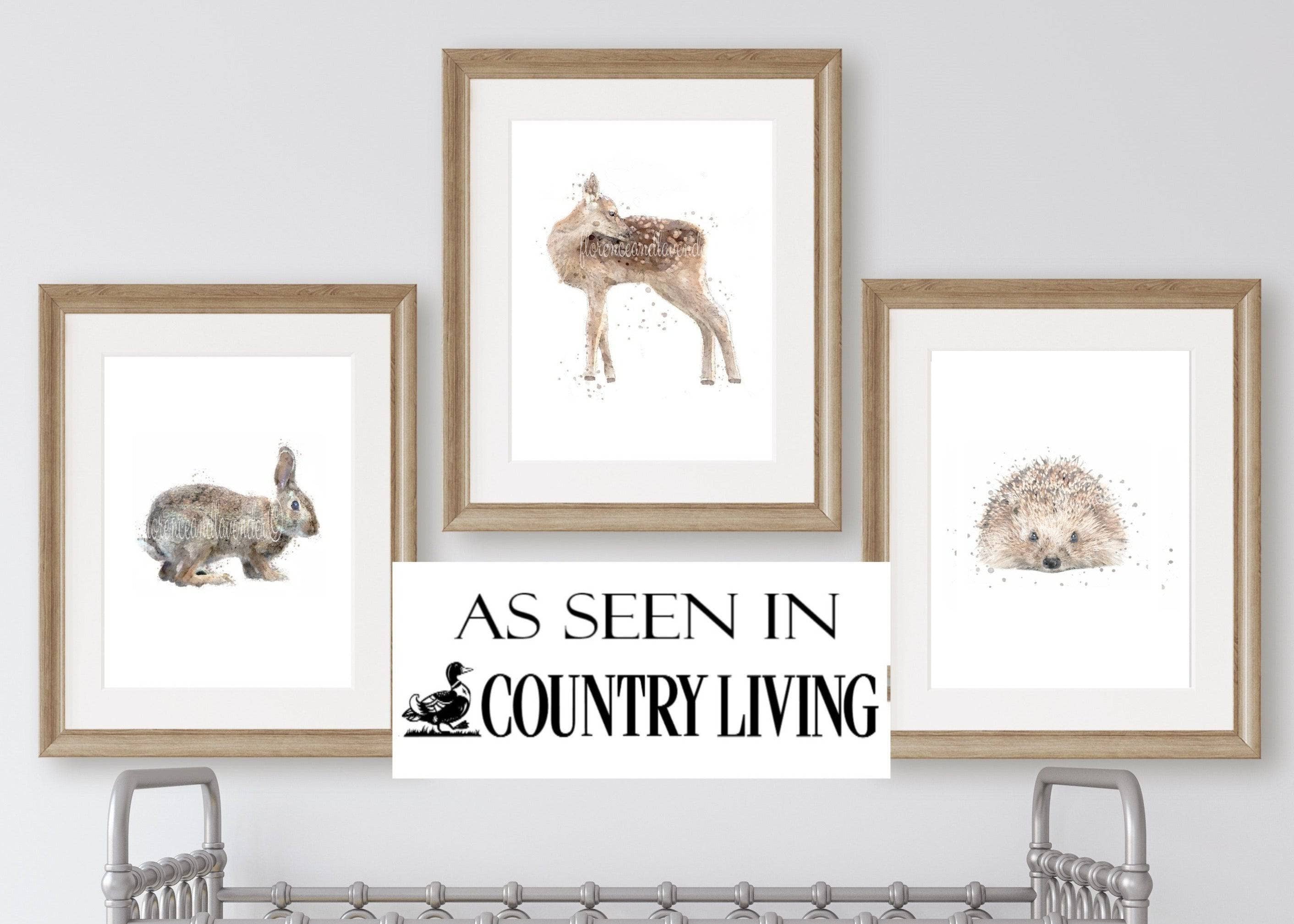 Florence & Lavender - Wholesale Art Print - Wildlife Nursery Collection0