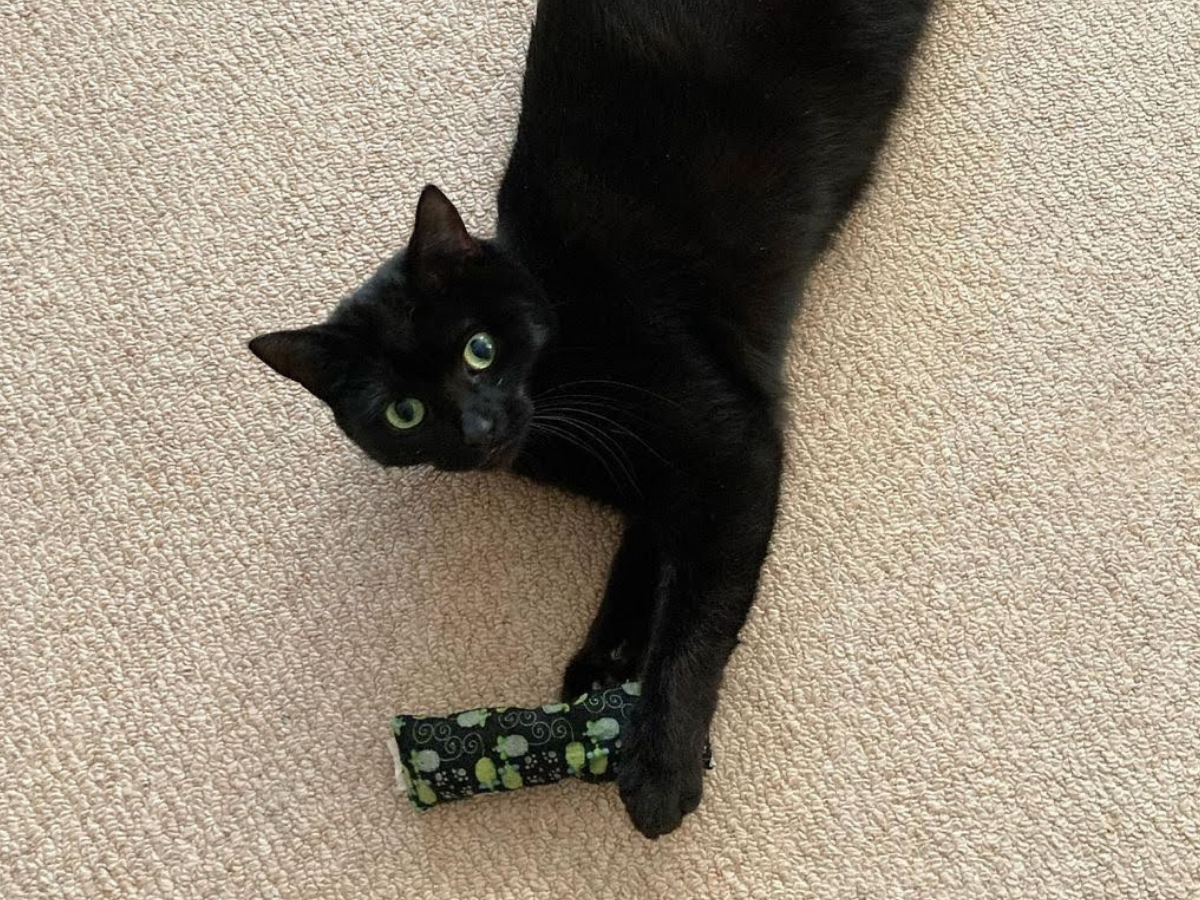 Meow Avenue – wholesale Leksak - Katt – Meow Avenue Kattmynta Kicker1