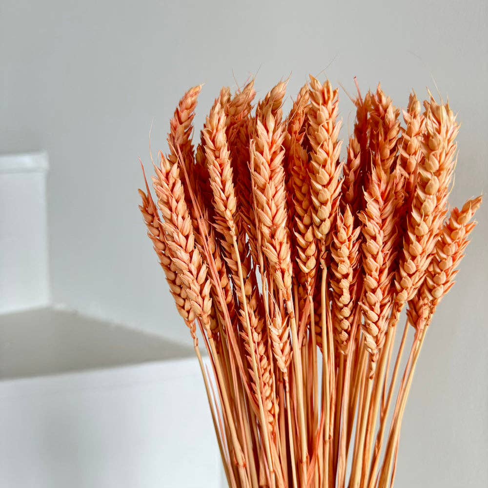 Flowrette - Wholesale Dried/Pressed Flowers - Peach wheat boot1