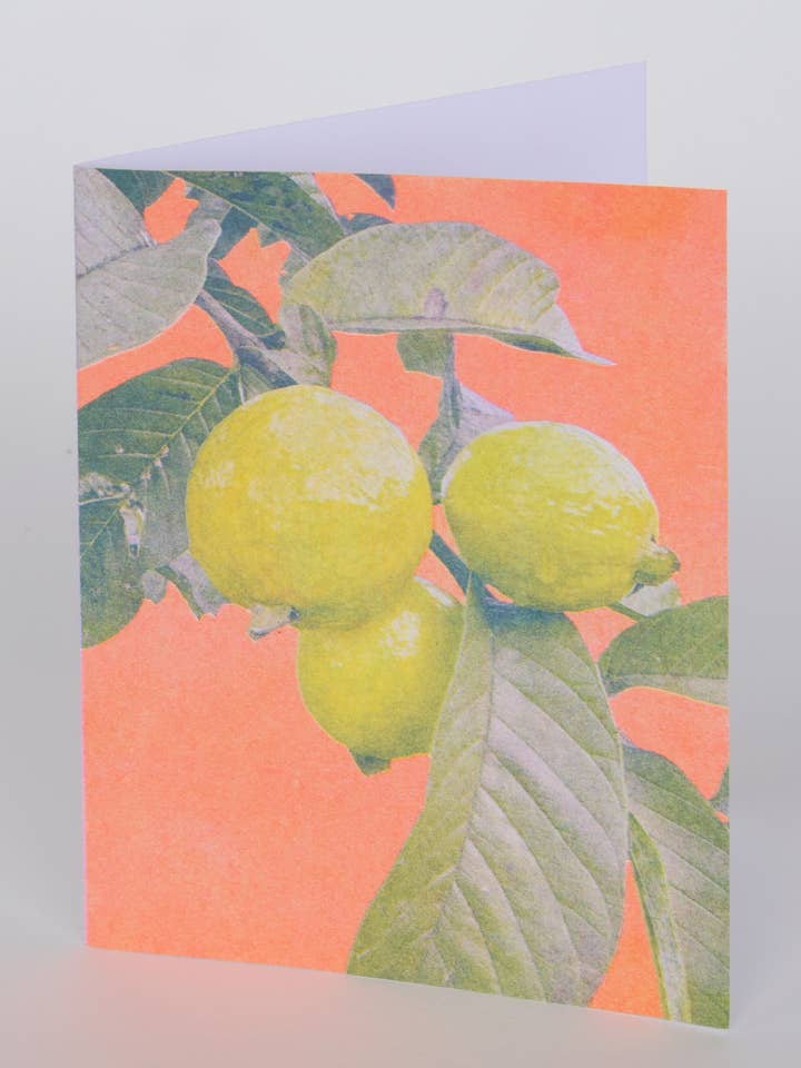Red Wild Guava Riso Greeting Card for wholesale by Pencil Urchin Press LLC