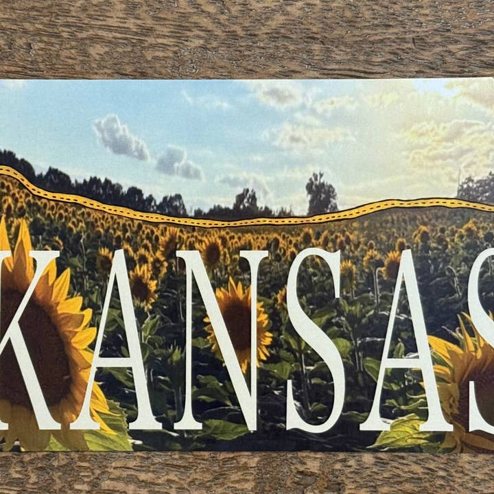 Kansas Sunflowers-I70 Horizon Postcard for wholesale by Something Beautiful