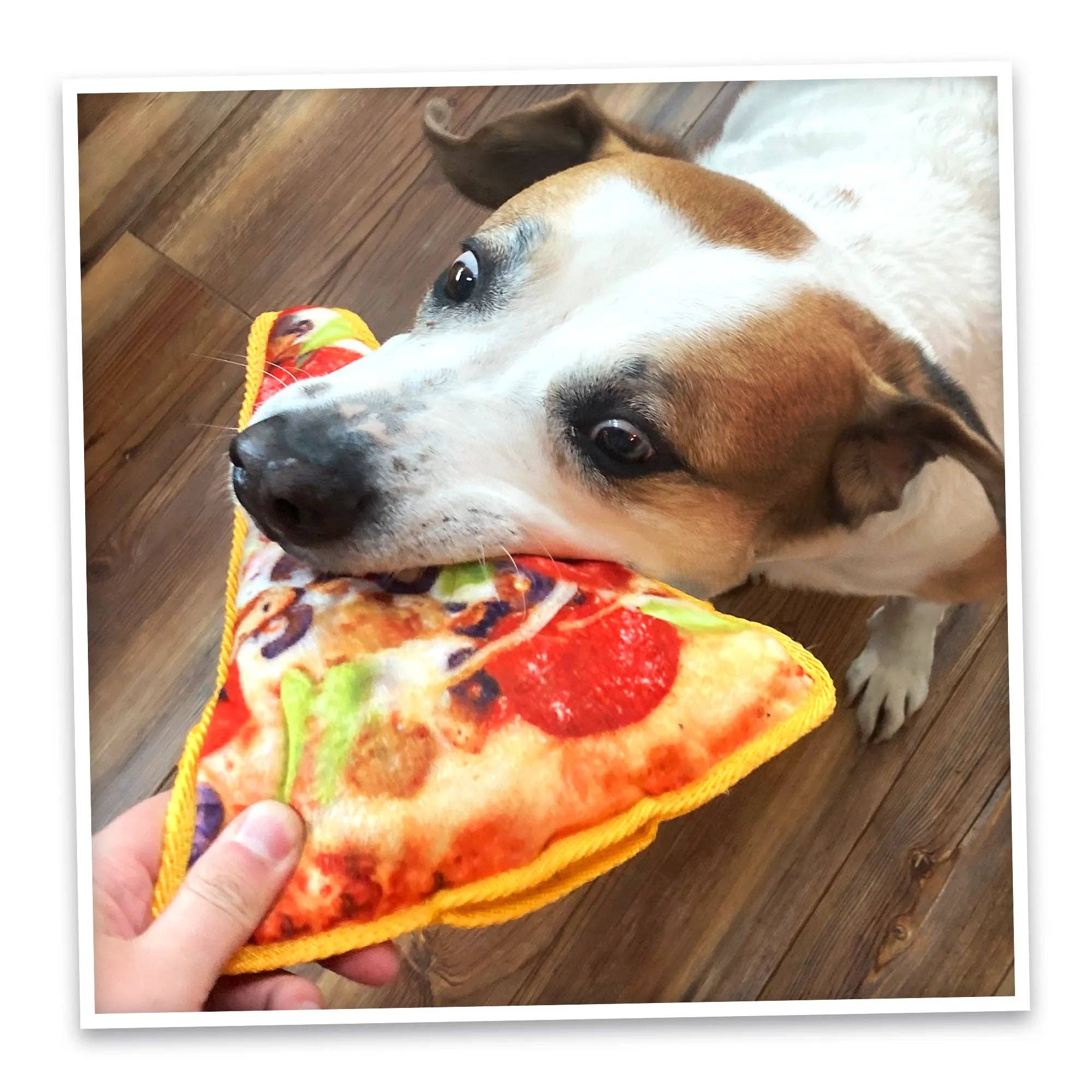 SmarterPaw | Meowijuana & Doggijuana - Wholesale Pet Chew Toy - Dog - Doggijuana® Tuffer Chewer Supreme Pizza Refillable Dog Toy6