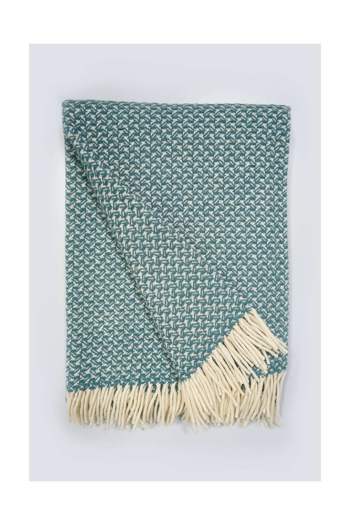 Chicoração - Vendita all'ingrosso Plaid - Coperta Rondine - più colori74