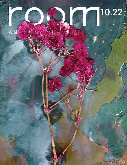 Books by splitShops - Wholesale Display Book - ROOM: A Sketchbook for Analytic Action 10.22 - Paperback0