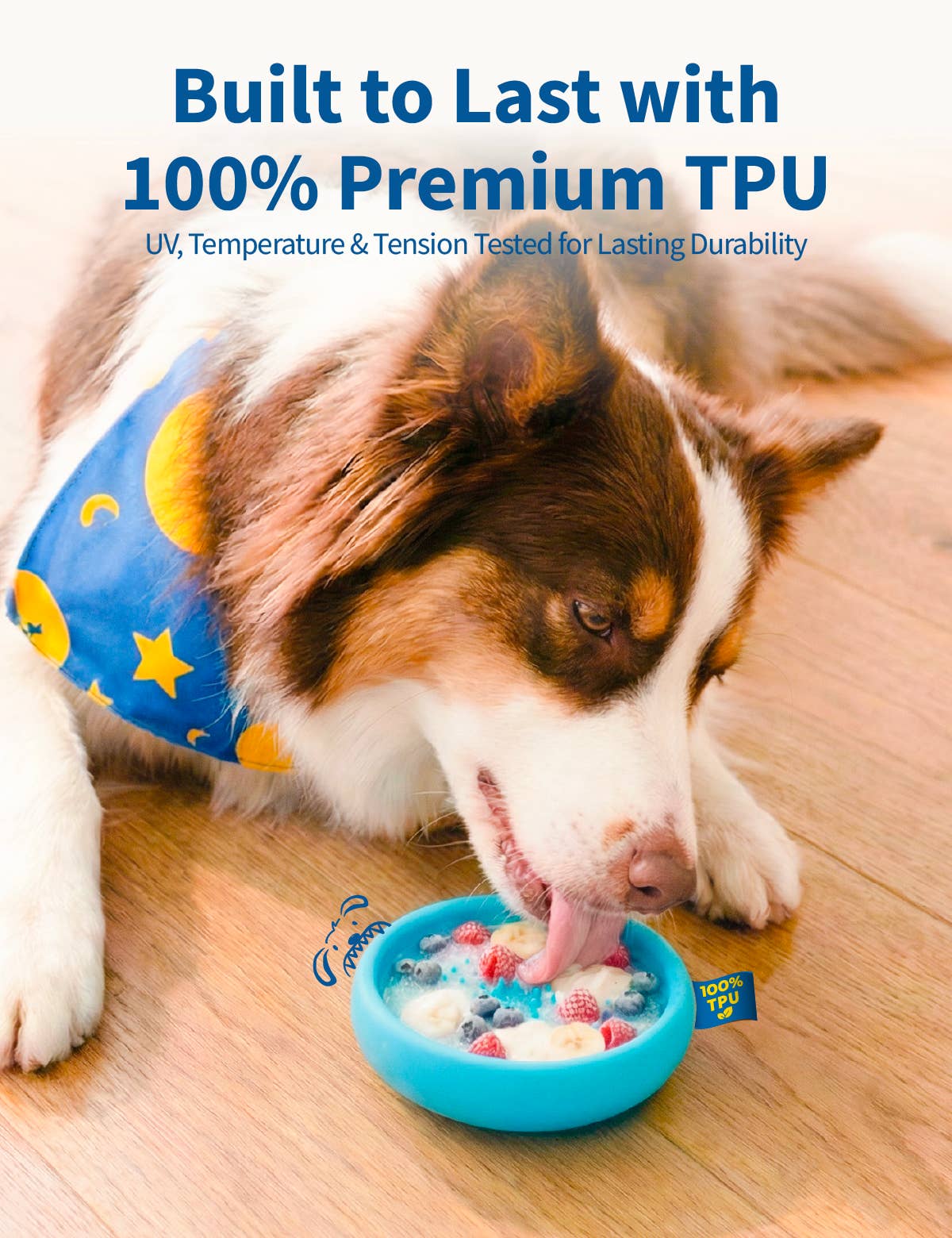 Chewise Official - Wholesale Pet Bowl - Dog - Chewise Freeze Bowls - Standard I 1+ Cup4