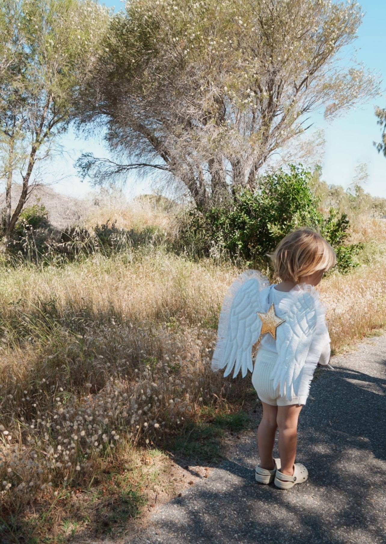 Gold Glitter White /Gold Vegan Leather Enchanted Angel Wings for wholesale on Faire6