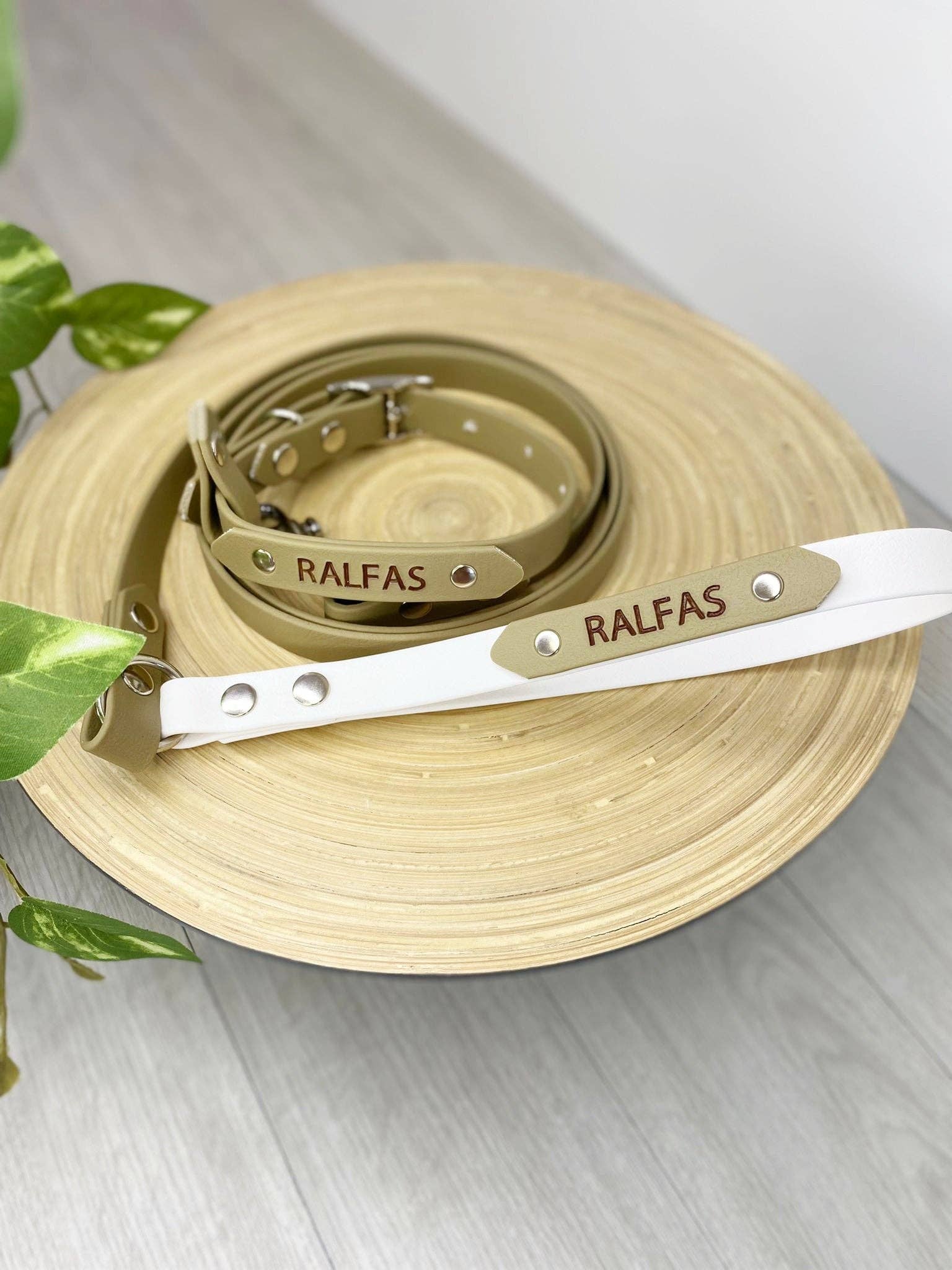 My Pawchella - Wholesale Hondenriem - Hond - *Ontwerp je eigen* biothane / gekleurde nylon hondenriem5