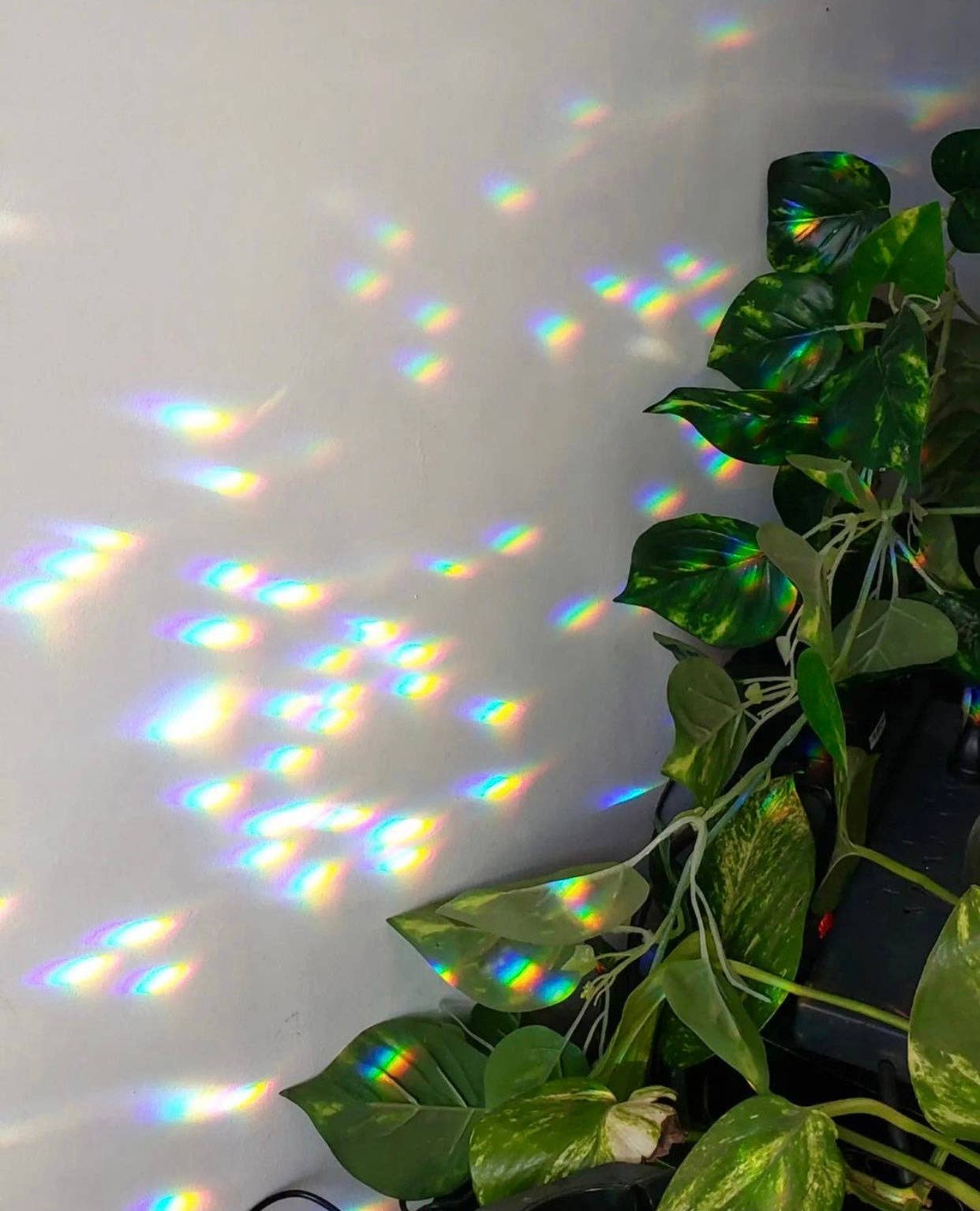 Vida + Luz – Großhandel Sonnenfänger – Promesa Sonnenfänger1