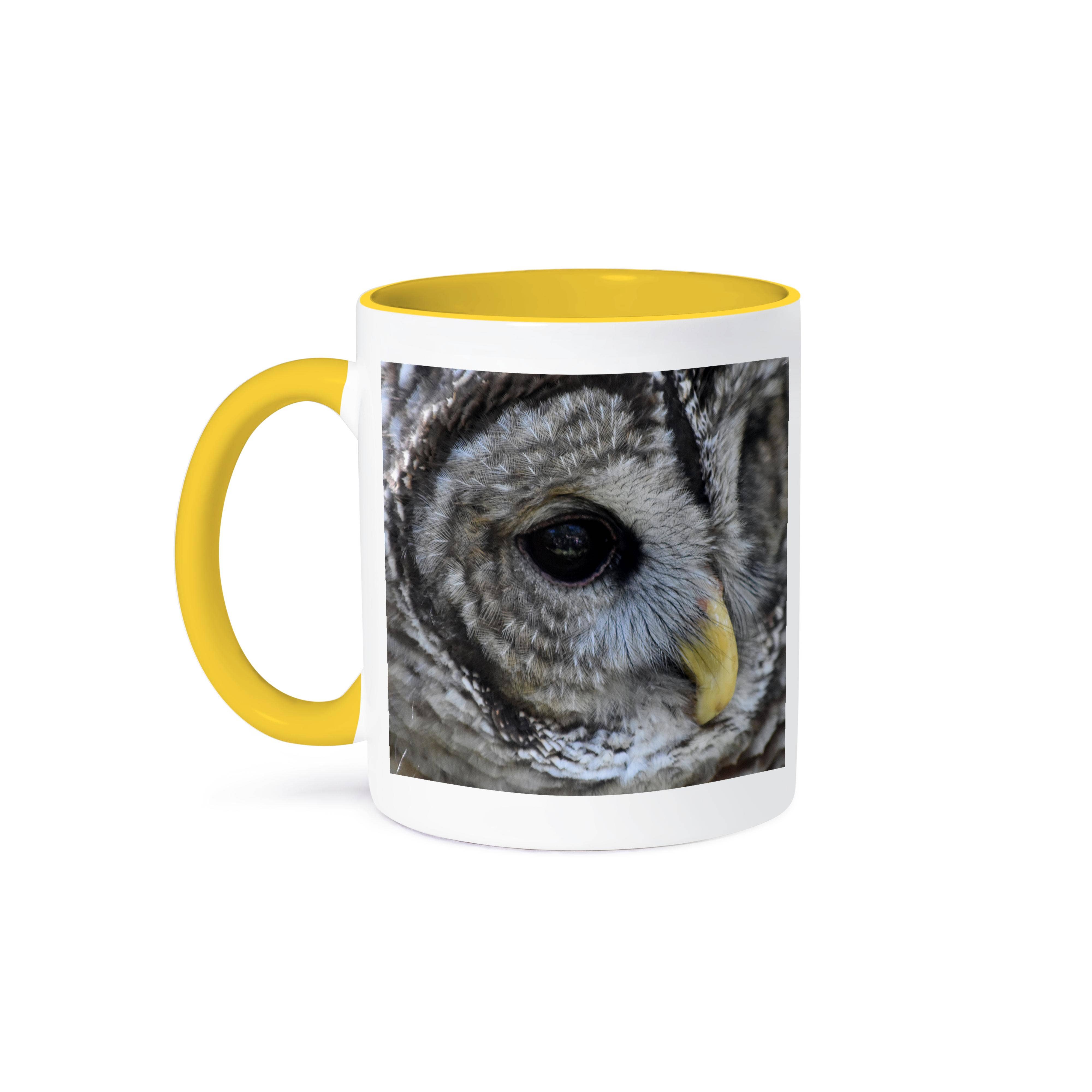3dRose - Vente Tasse à café - 3dRose, Gros plan sur l'œil d'une chouette effraie, animal oiseau, Tasse0