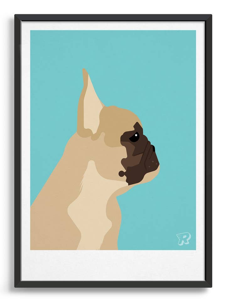 Buldogue francês por atacado de Rocket Jack