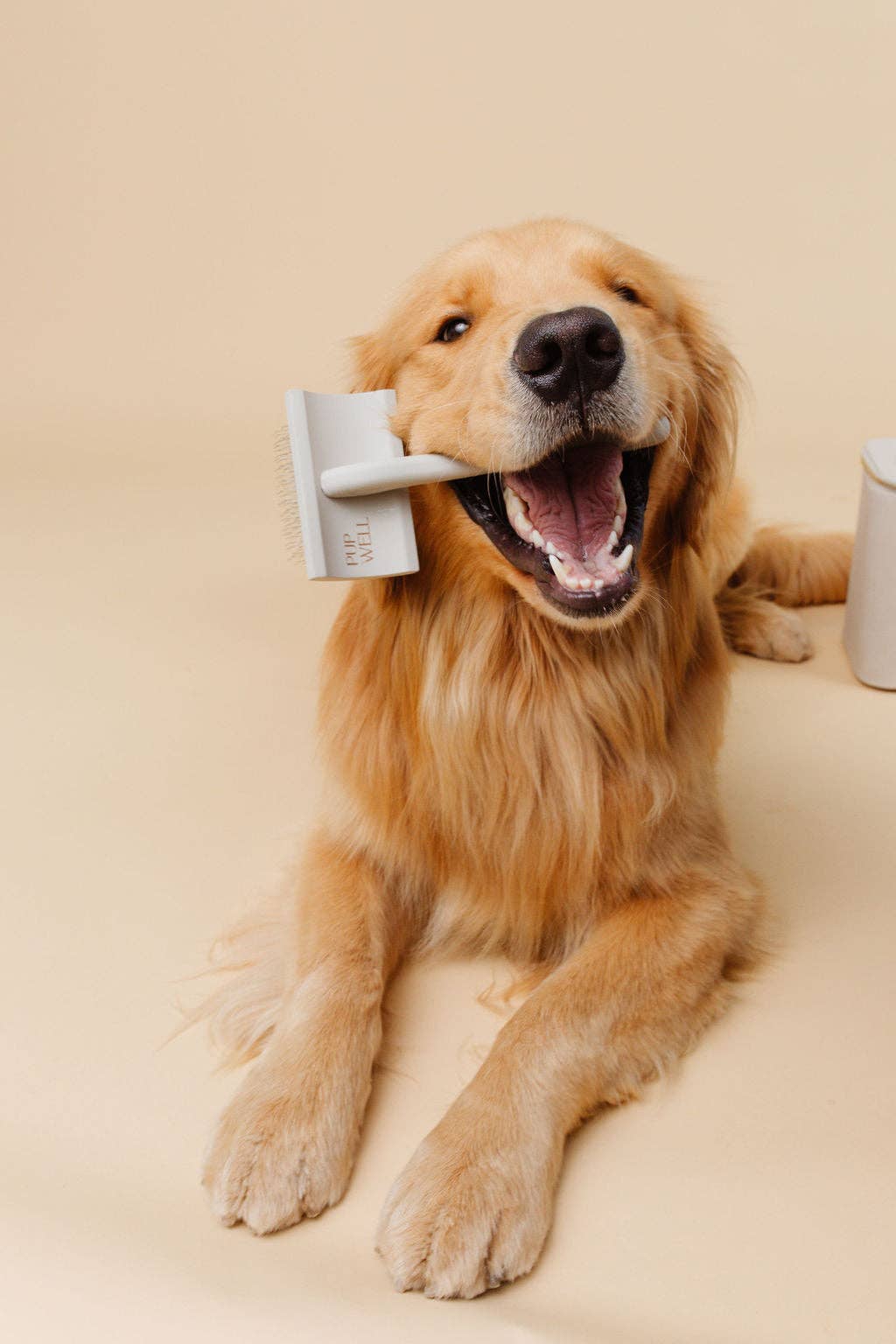 Pupwell - Wholesale Pet Brush - Cat/Dog - Everyday Slicker Brush4