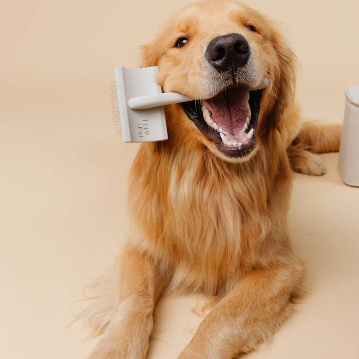 Pupwell - Wholesale Pet Brush - Cat/Dog - Everyday Slicker Brush4