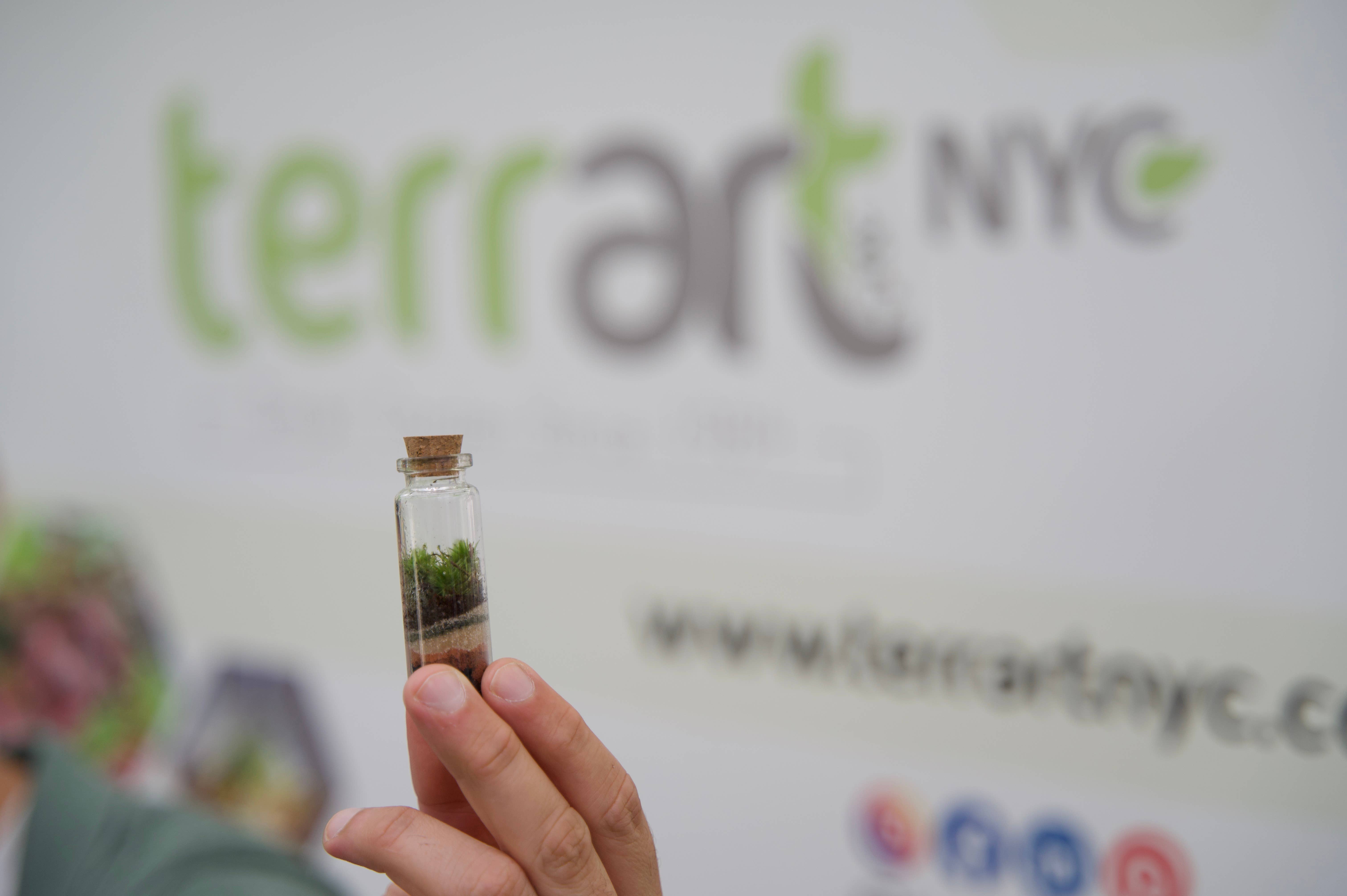 TERRART NYC - Wholesale Terrarium - Pocket Terrarium / Self Sustaining Miniature Ecosystem1