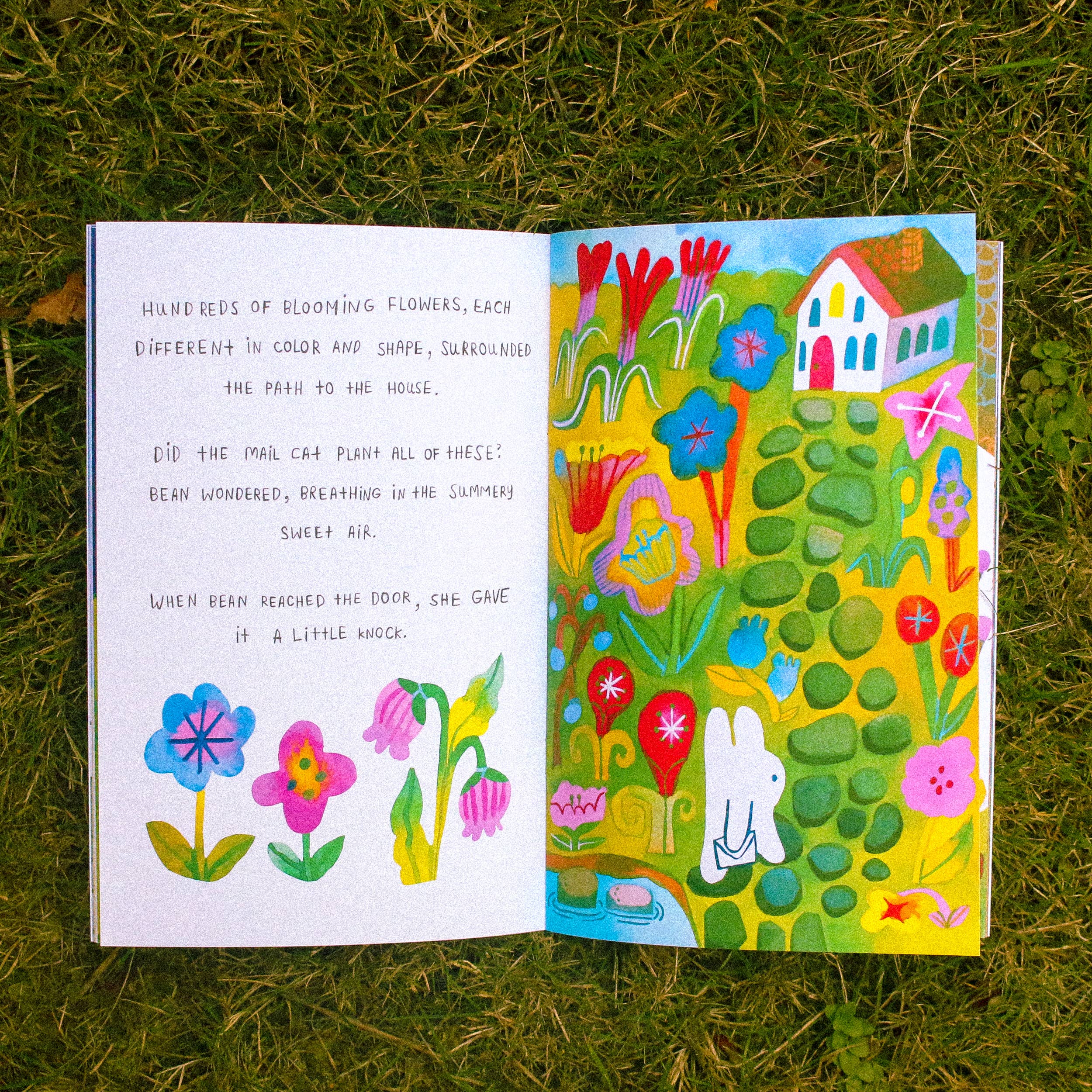 Odd Rabbits - Vente Livre à exposer - Zine « Mail for the Mail Cat »3