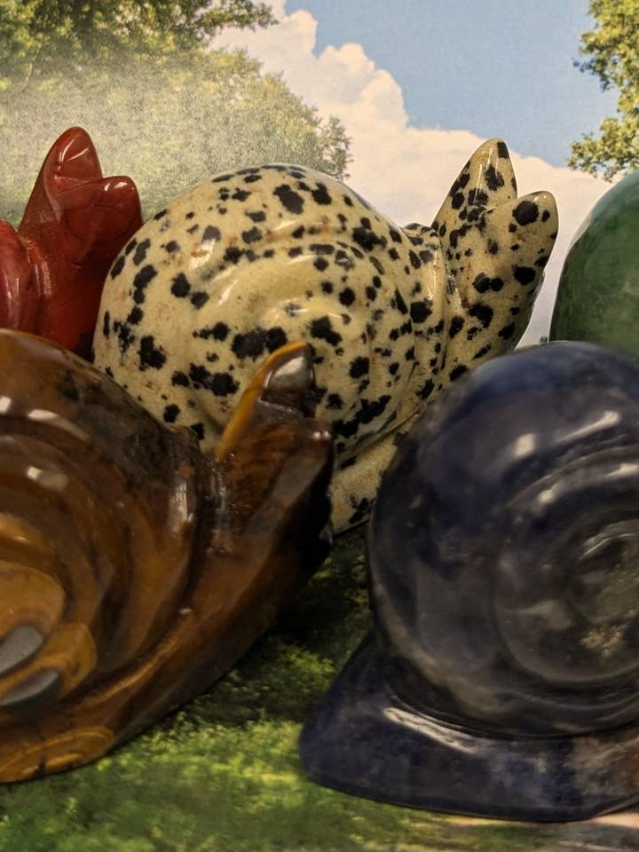 Caracol con piedras preciosas talladas, 2 pulgadas para venta al por mayor de BW Imports