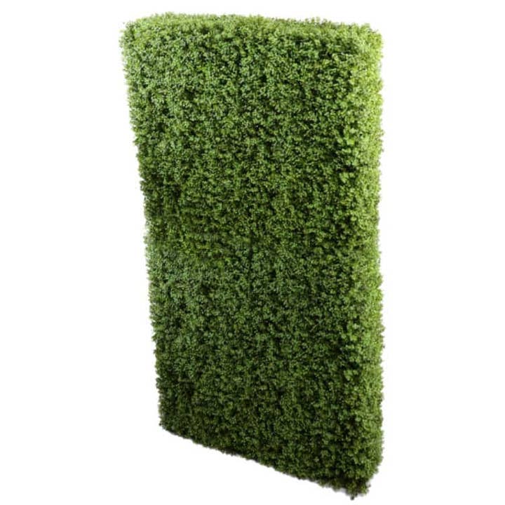 Haie de buxus portable de luxe résistante aux UV 100 cm de long x 200 cm de haut pour la vente par Designer Plants AU