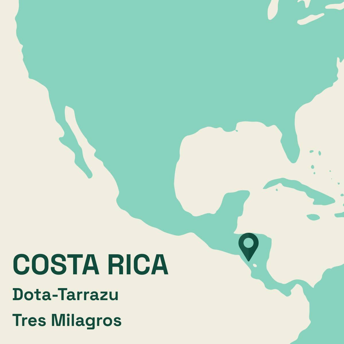 Sensorial Coffee Roasters - Wholesale Coffee Beans - Specialty Coffee from Costa Rica | Black Honey | 250 GR2