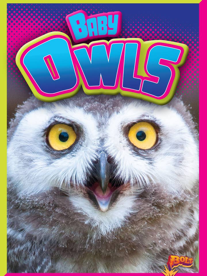 Baby Owls - Lehrbuch für Kinder für den Großhandel von Black Rabbit Books