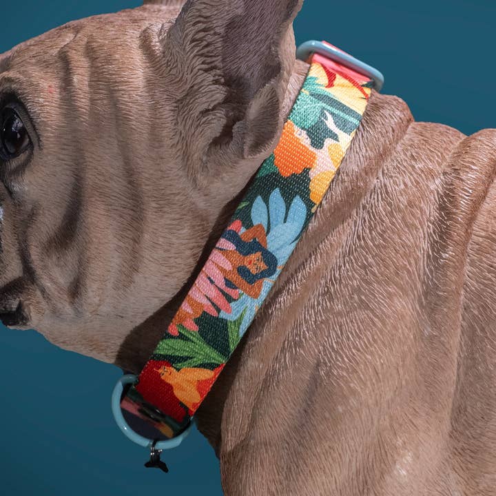 Högt och stolt hundhalsband för wholesale av Mind the Fluff