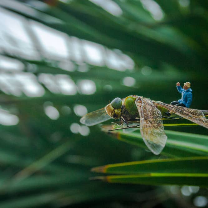 Guldsmed for engroshandel hos Pech Photography