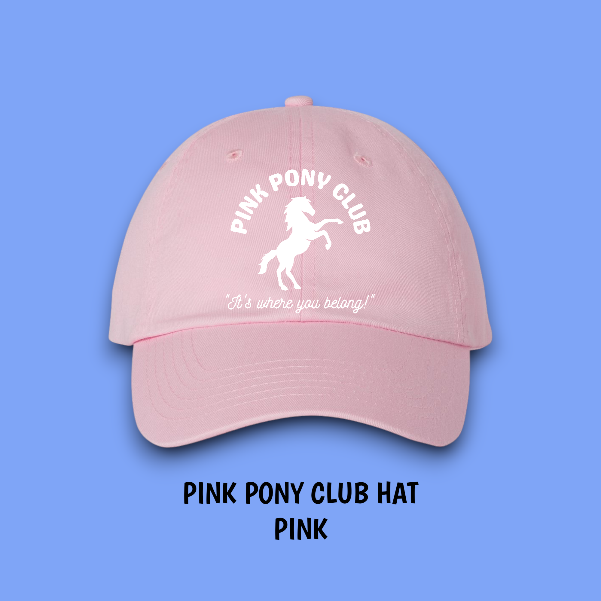 Equine & Design, LLC - Wholesale Baseball Cap - Women's - PINK PONY CLUB HAT3