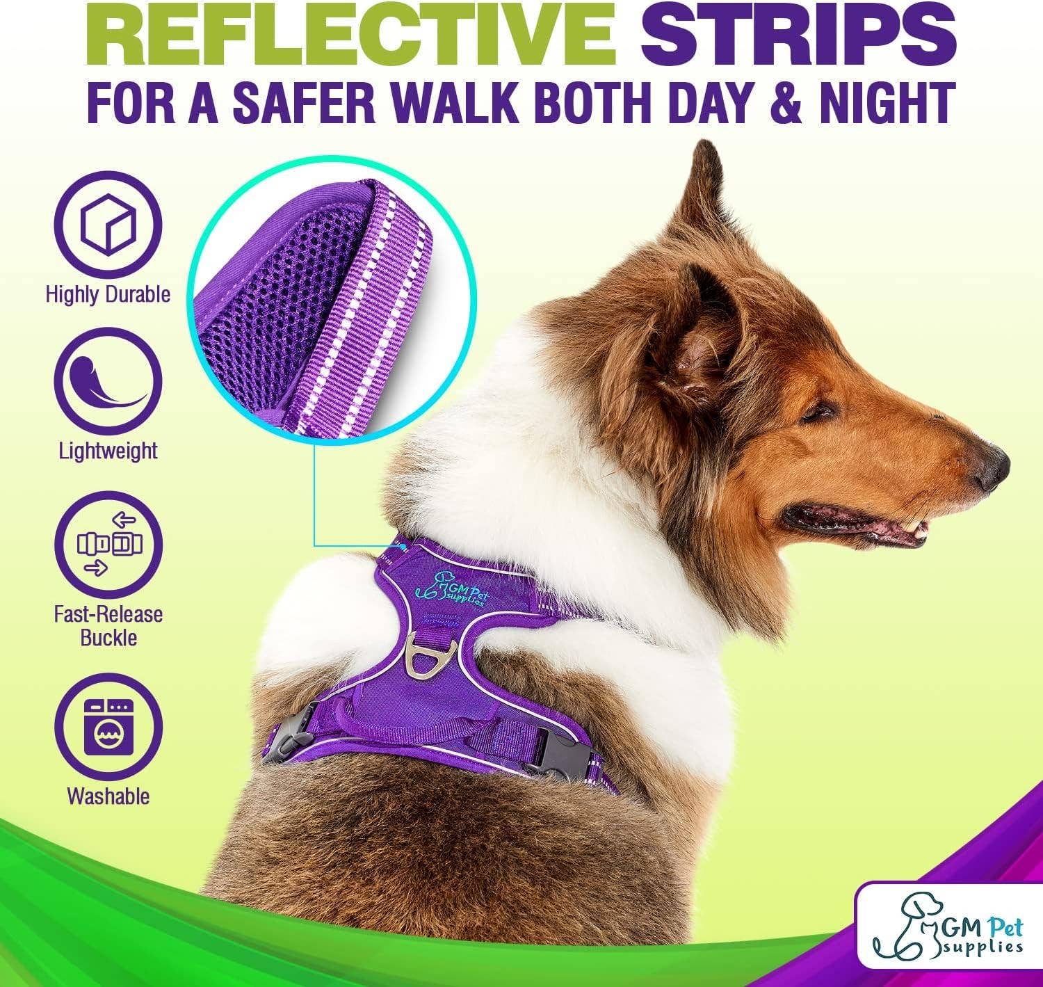 Katziela - Wholesale Pet Harness - Dog - Dog Harness Walking kit and Leash Set10