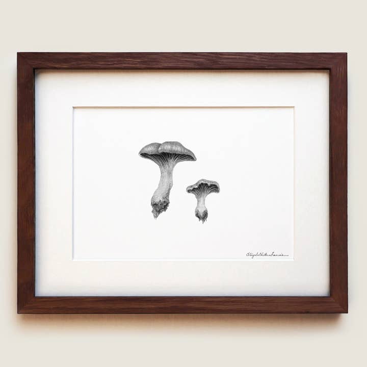 Chanterelle Mushrooms | Fine Art Print for wholesale by ElizabethAnnFrancis