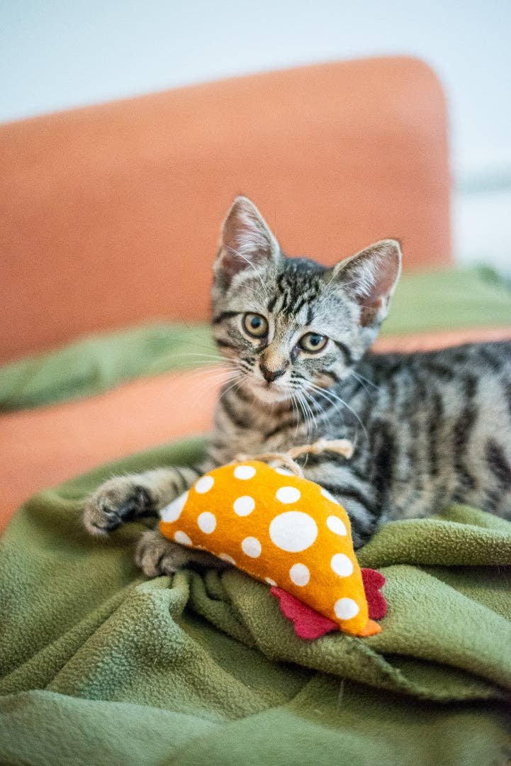 Planet B, Inc. - Wholesale Pet Toy - Cat - Scrap Fabric Cat Toys3