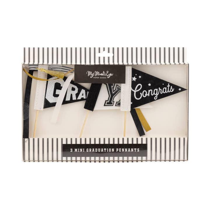 My Mind’s Eye - Wholesale Party Sign/Banner - GRD1114 - Mini Felt Pennant Set2