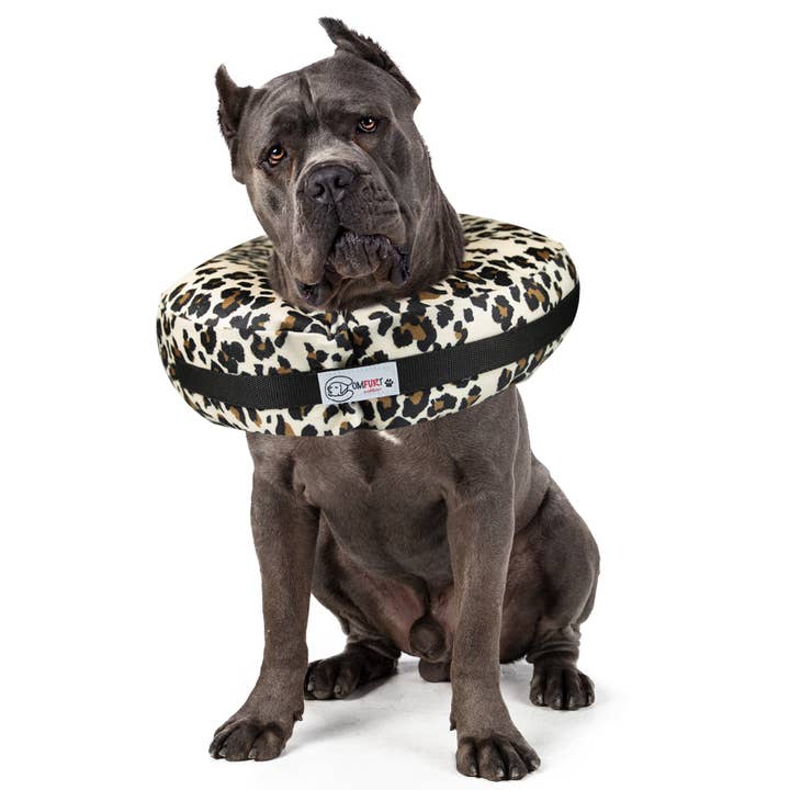 Comfurt Collar - Wholesale Pet Collar - Cat/Dog - Cheetah - Pet Recovery Collar7